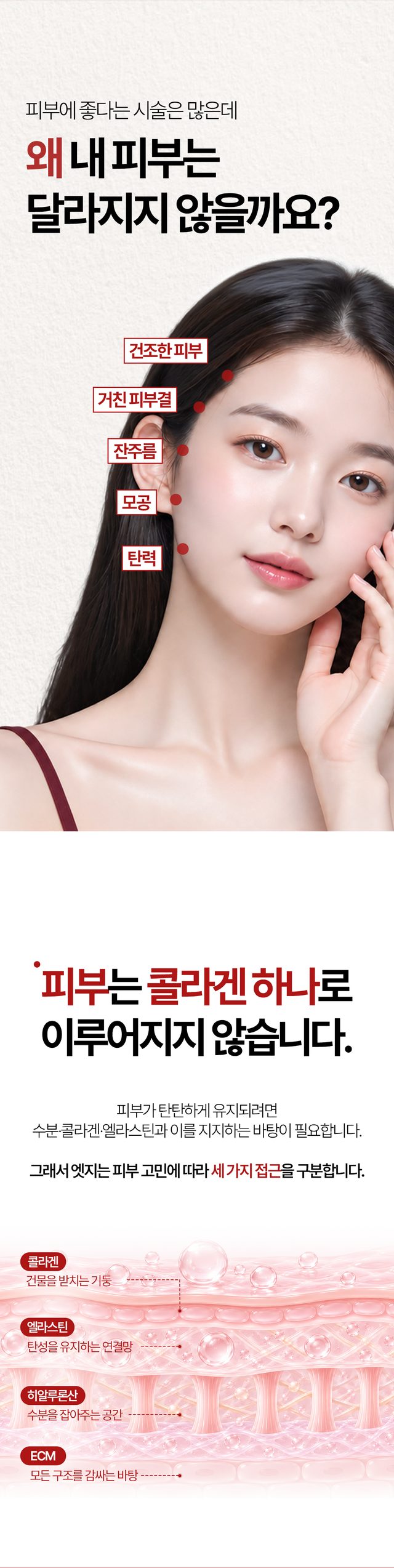건조함 피부결 잔주름 모공 탄력 고민과 콜라겐 엘라스틴 히알루론산 ECM 피부 구조 안내