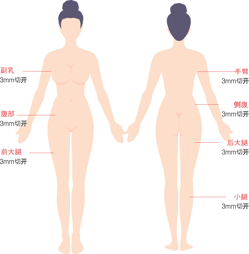 body_lip01_m model img