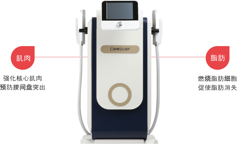 coresculpt region model img