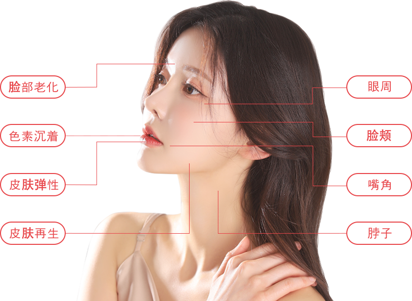 rejuran region model img