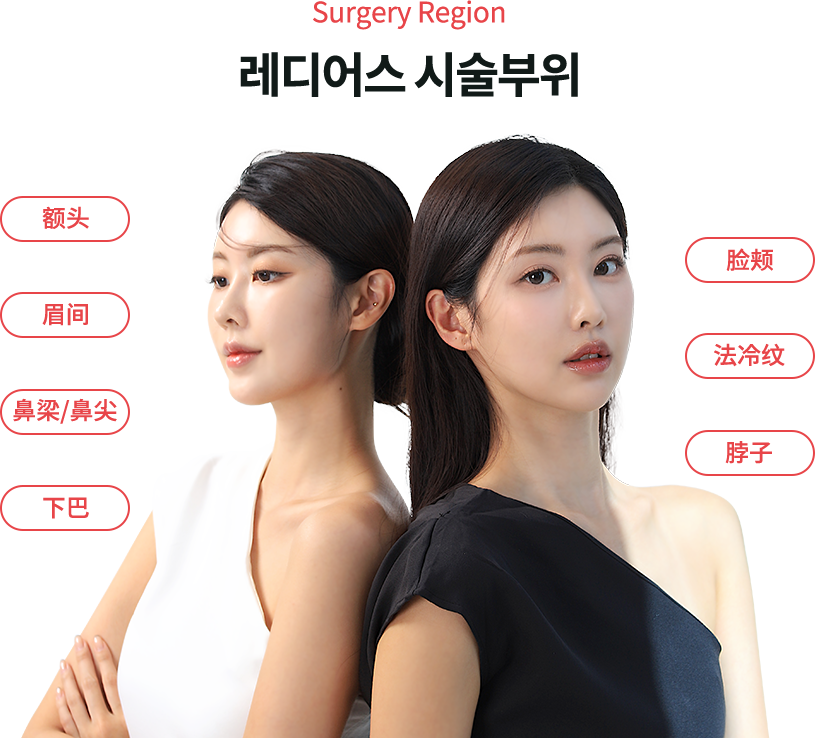 radiesse region model img