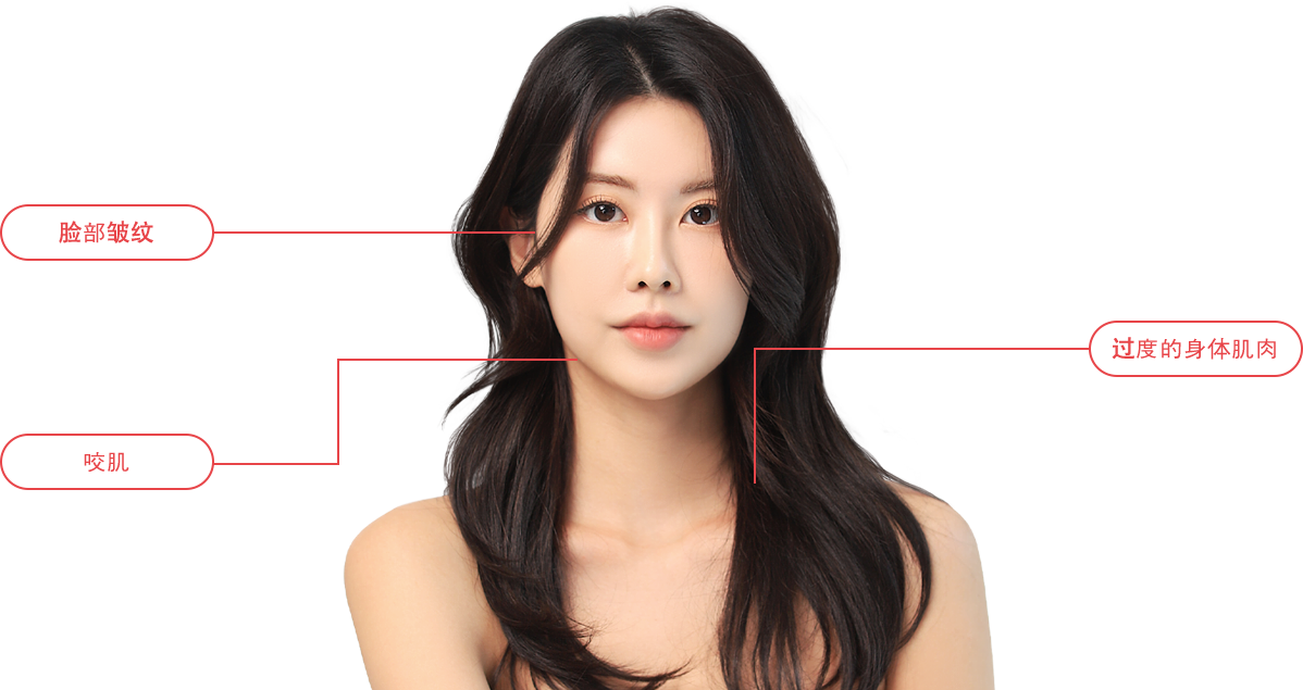 BotulinumToxin model img