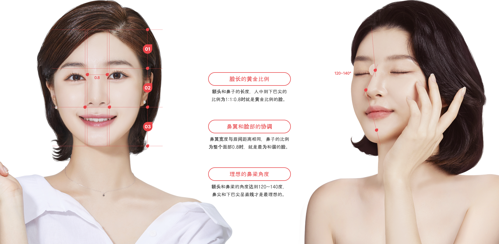 nose_rhinoplasty model img