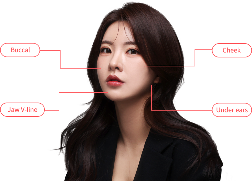 sculprure region model img