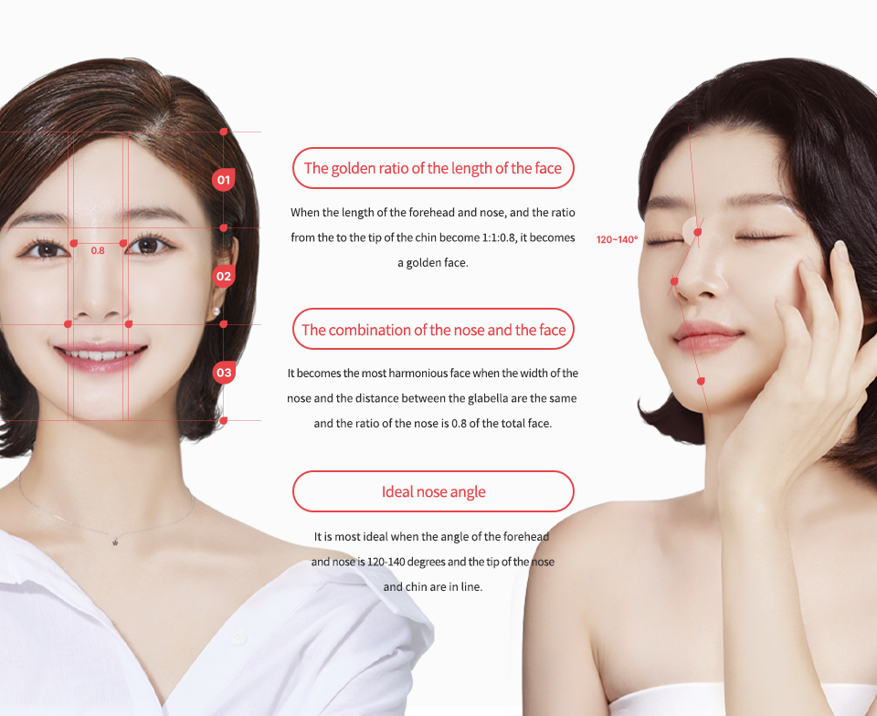 nose_rhinoplasty region model img