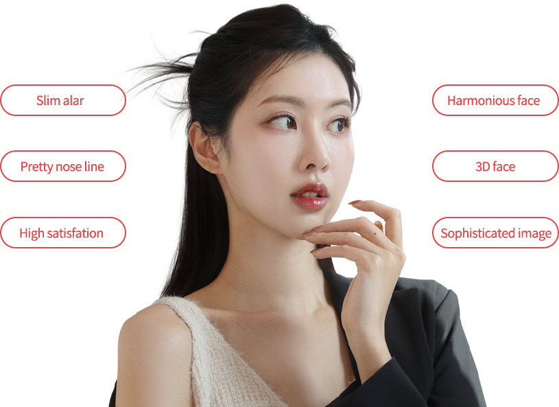 nose_reduction region model img