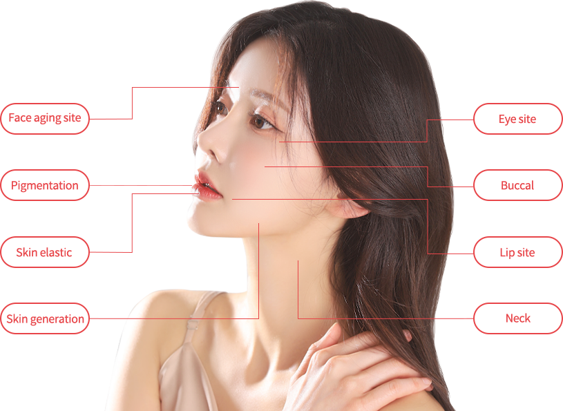 rejuran region model img