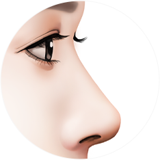 nose_type11