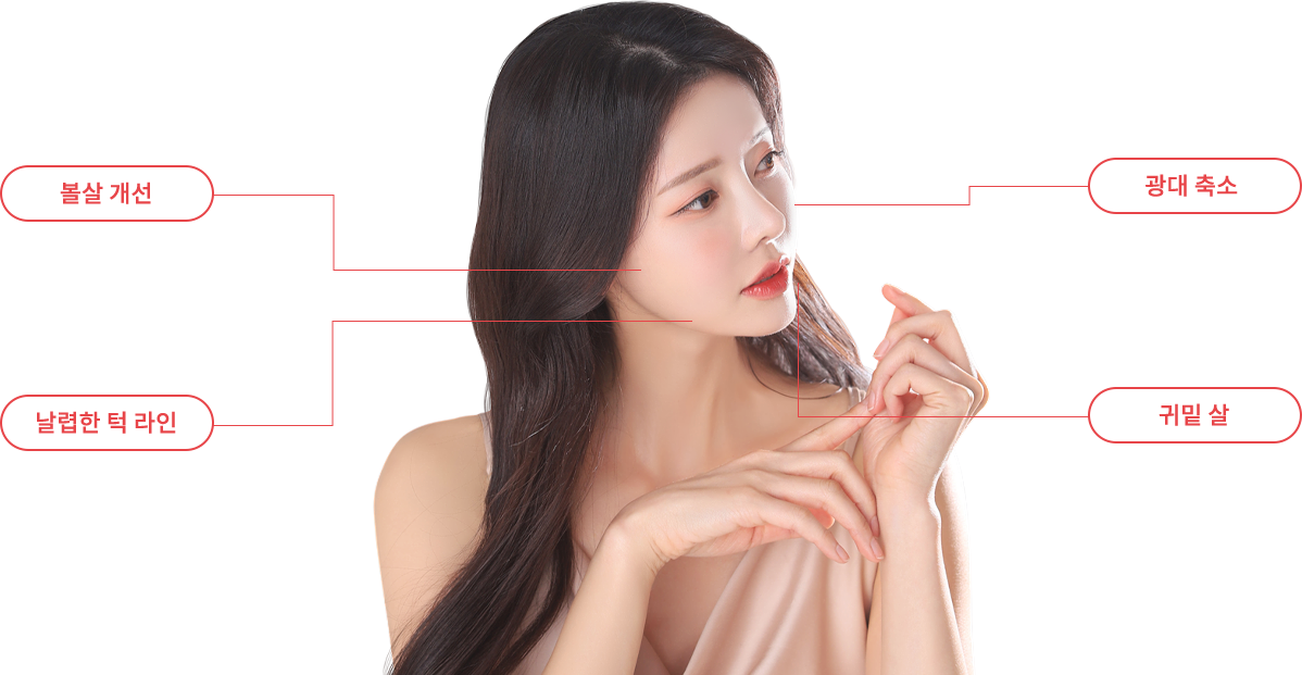 INJECTION model img