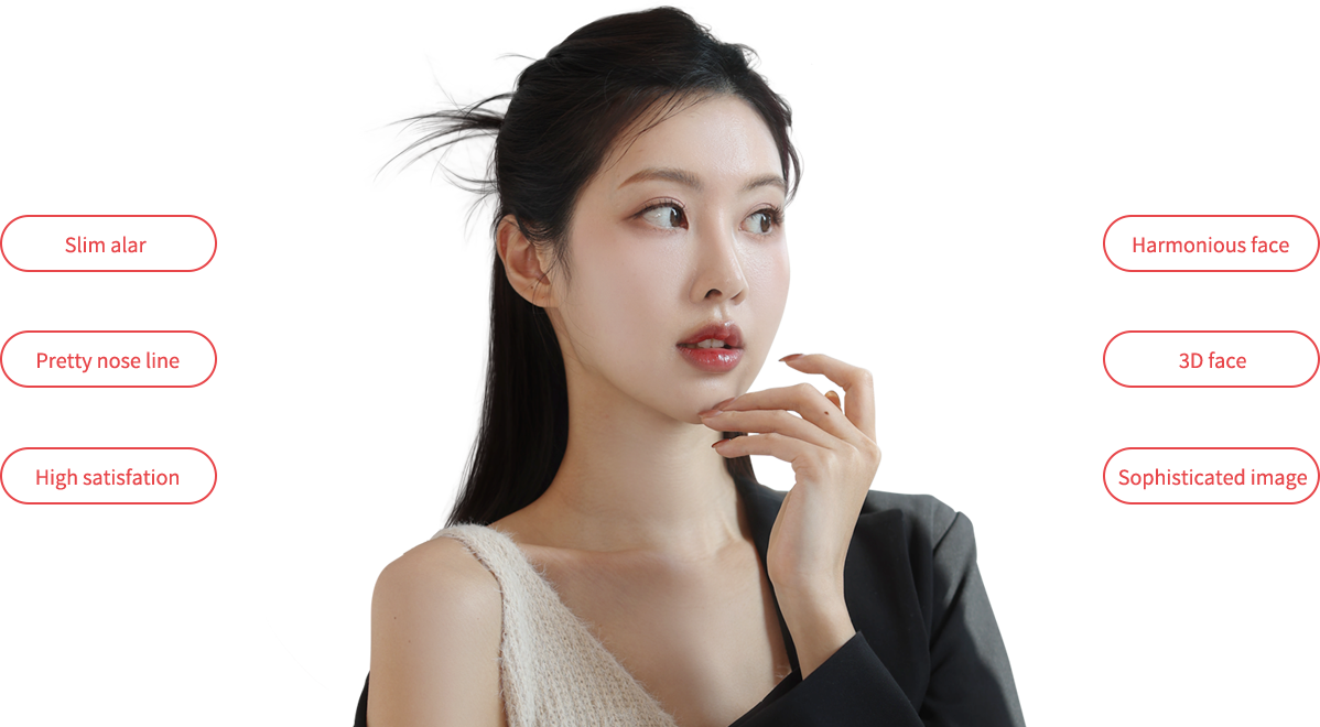 nose_reduction model img