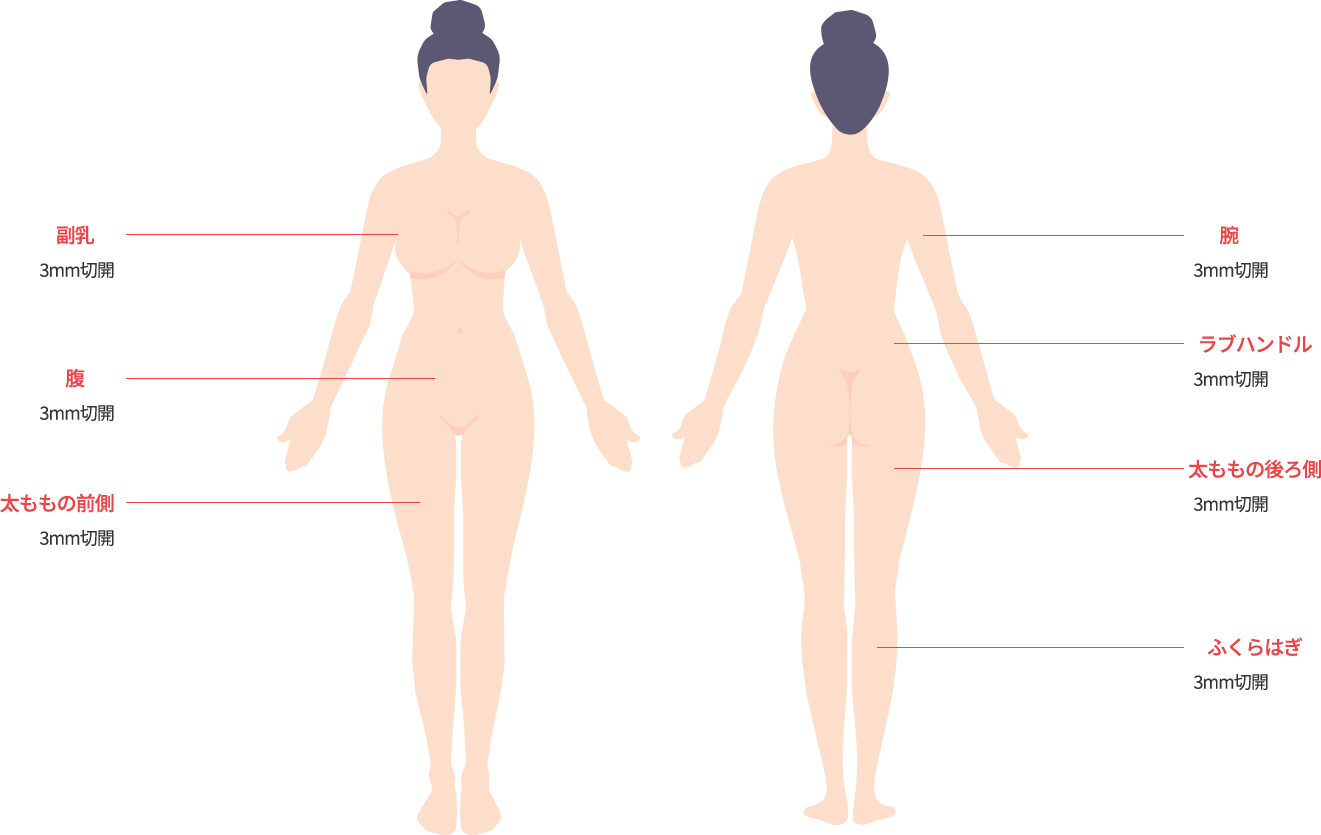 body_lip01 model img