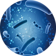 exosome_img03