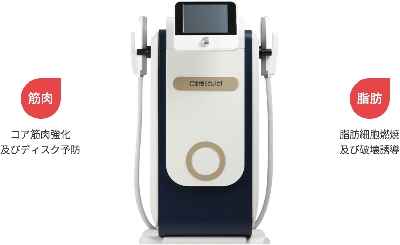 coresculpt region model img