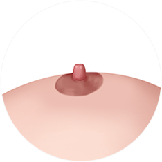 nipple_img01