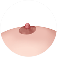 nipple_img08