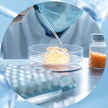 고순도 줄기세포 추출