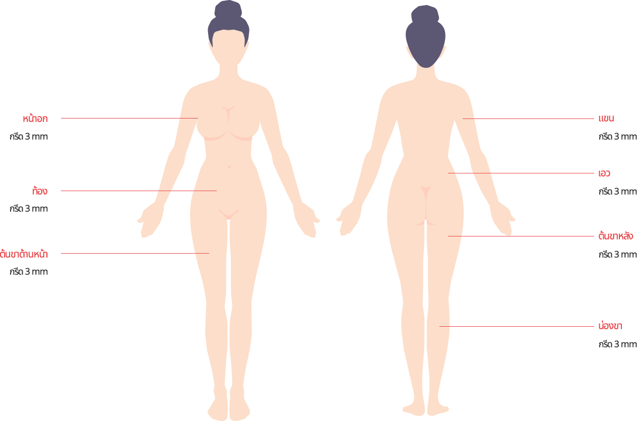 body_lip01 model img