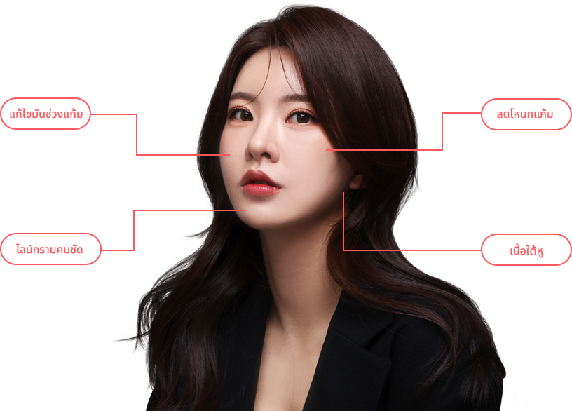 sculprure region model img