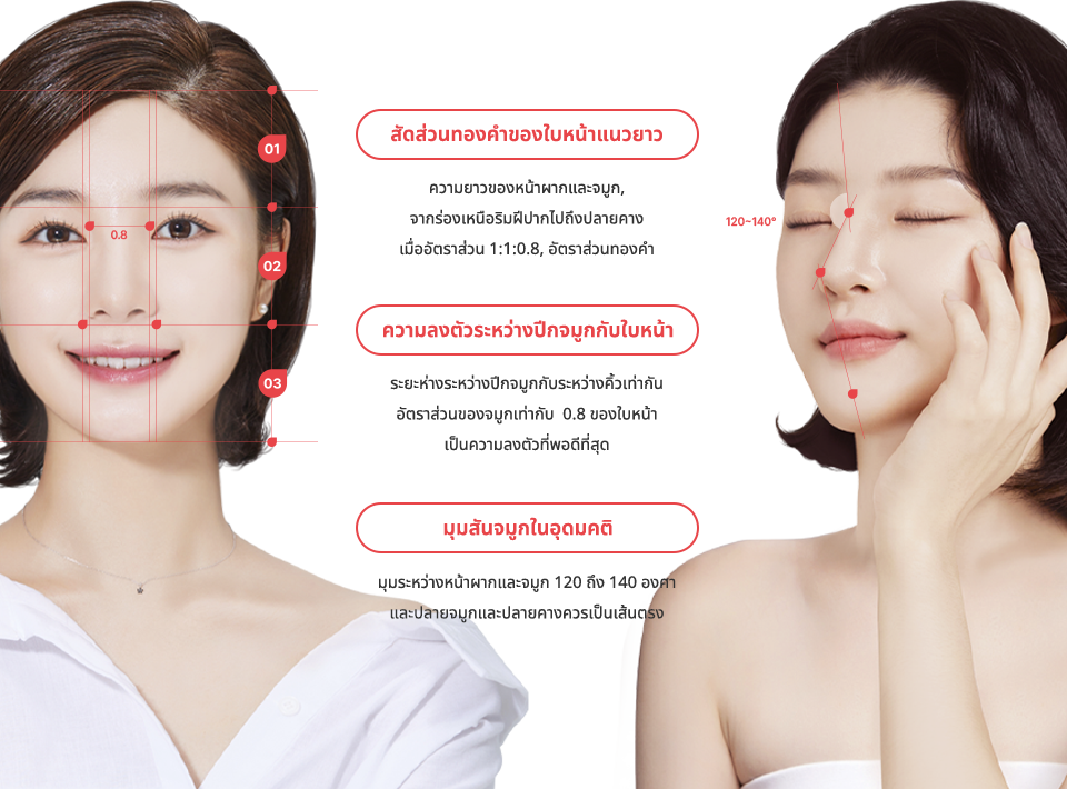 nose_rhinoplasty region model img