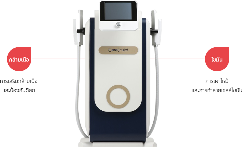 coresculpt region model img