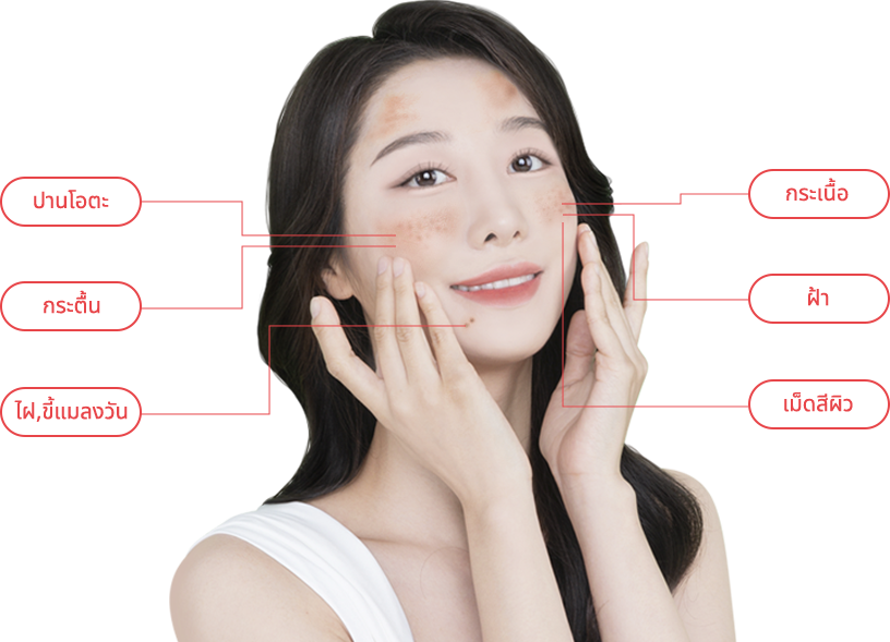 mobile region model img