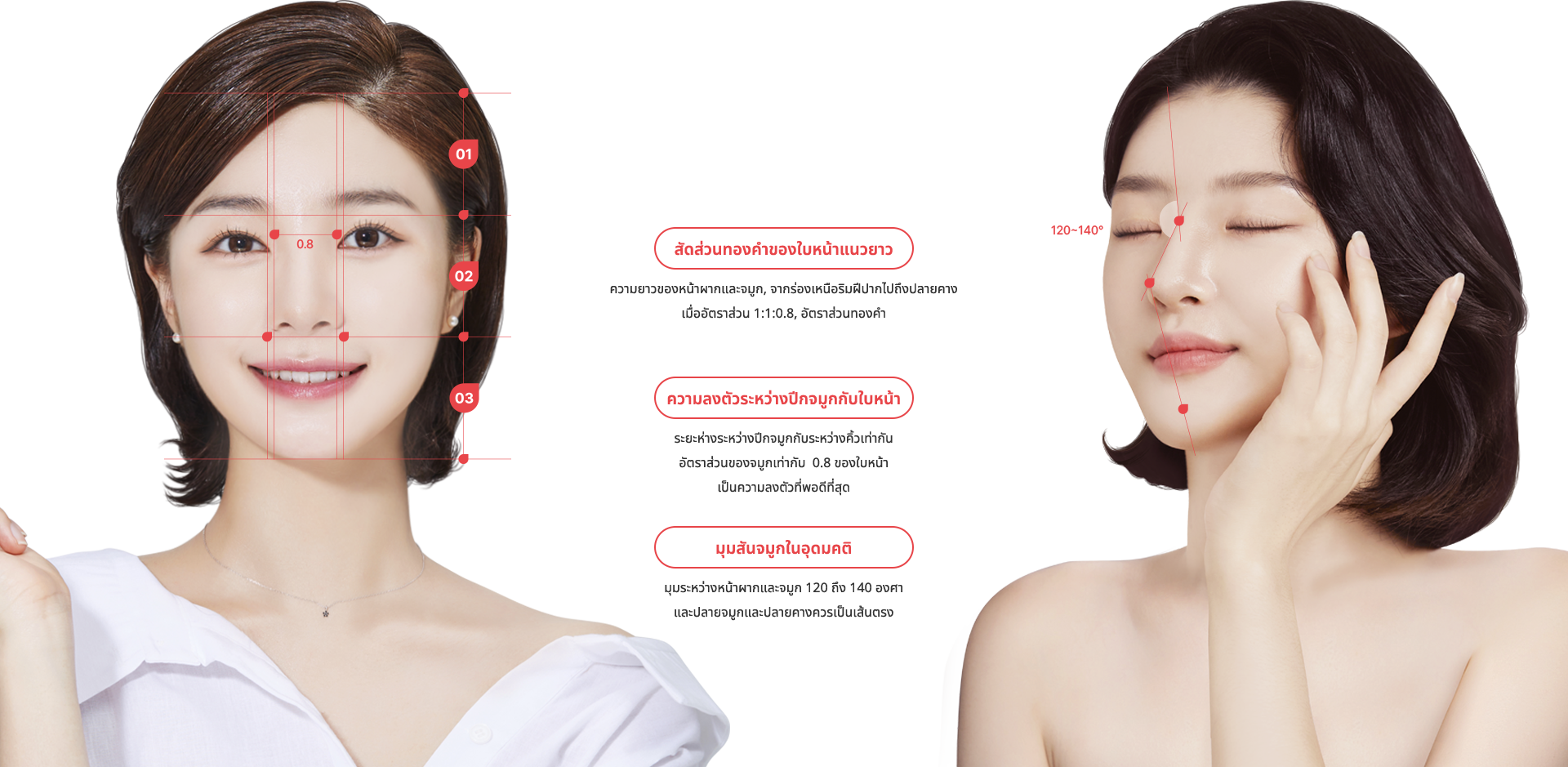 nose_rhinoplasty model img