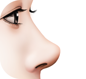 nose_style02