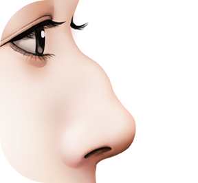 nose_style03