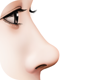 nose_style04