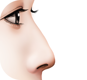nose_style05