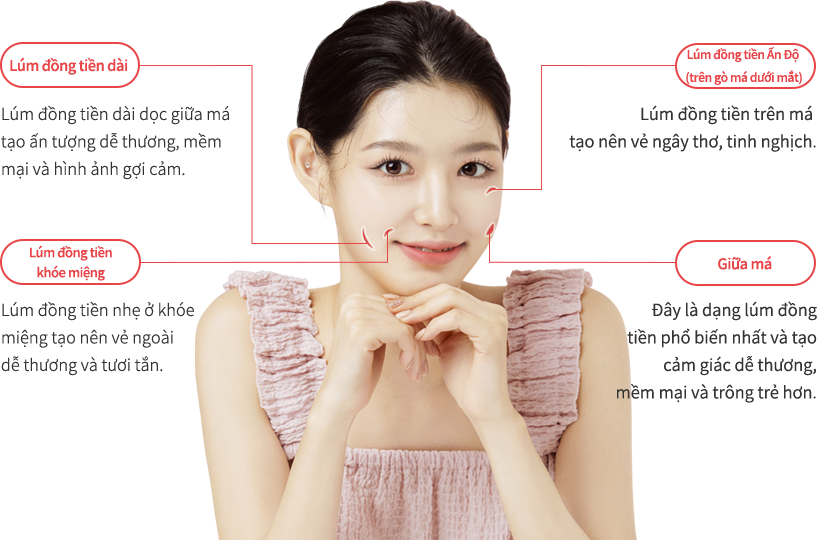 dimple region model img