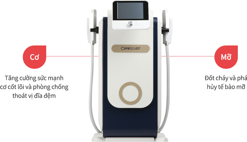 coresculpt region model img