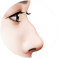 nose_type01